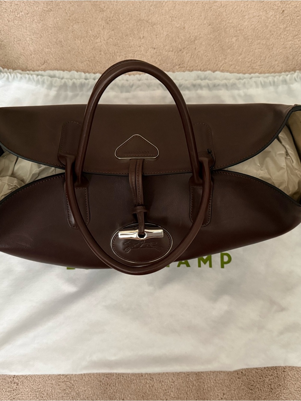 Longchamp Dark Brown Leather Satchel with Silver Accent - Picture 2 of 9